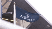 Horse Racing Wave GIF by Ascot Racecourse