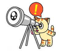 Cat Observe GIF by JPedicini