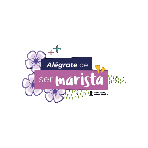Alegrate Sticker by Santa Maria Maristas