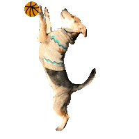 Dunkin Sticker by Simple & Sentimental