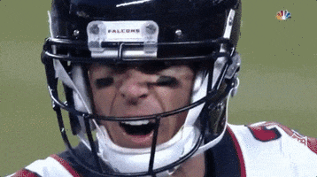 atlanta falcons football GIF by NFL