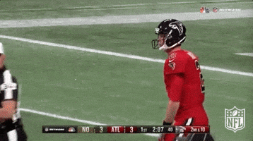 atlanta falcons football GIF by NFL