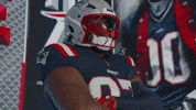 Football Nfl GIF by New England Patriots