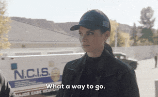 Gibbs GIF by CBS