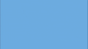GIF by NYCFC