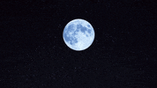 Hungry Full Moon GIF by Papa John’s