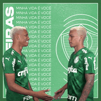 Soccer Futebol GIF by SE Palmeiras