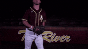 PRCCAthletics wildcats mississippi juco prcc GIF