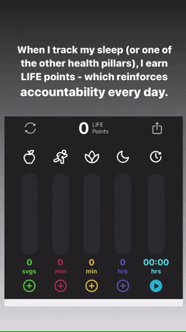 Raytay17 giphyupload GIF