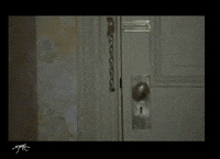 cat shinning GIF by marko