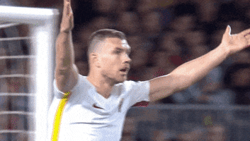 edin dzeko wtf GIF by AS Roma