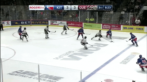 DGScouting giphyupload GIF