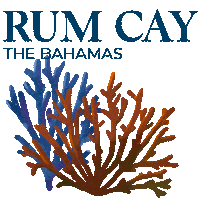 Bahamas Sticker by visitthebahamas