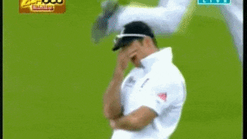 Cricket May GIF by Sky HISTORY UK