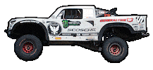 Fox Monster Sticker by Camburg Racing
