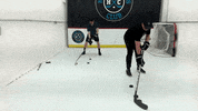 hockeyplayersclub  GIF