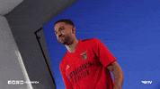 Sl Benfica Shrug GIF by Sport Lisboa e Benfica