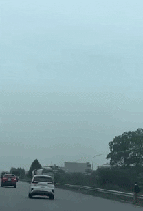 Insight_video giphyupload GIF