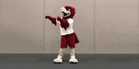 RiponCollege dance rally floss red hawk GIF