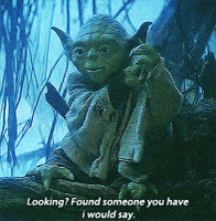 star wars Looking? Found someone you have I would say GIF