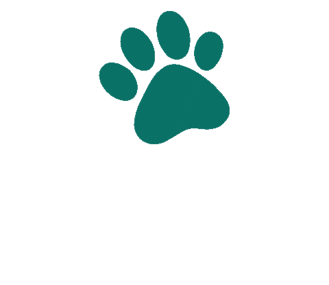 Hund Sticker by HelloBello Frischfutter