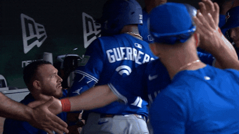 Blue Jays Baseball GIF by Toronto Blue Jays