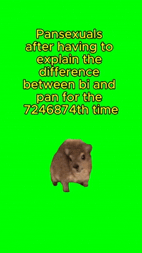 Pansexuals Pride