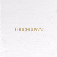 Nfl Touchdown GIF by New Orleans Saints