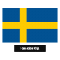 Sweden Flag Sticker by Formación Ninja