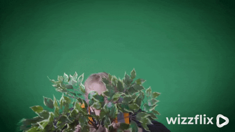 Wizzflix_ giphyupload green good job forest GIF