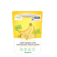 Dried Fruit Sticker by Nam Fruits