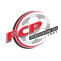 fcp_faeffikonzh fcp1 Sticker