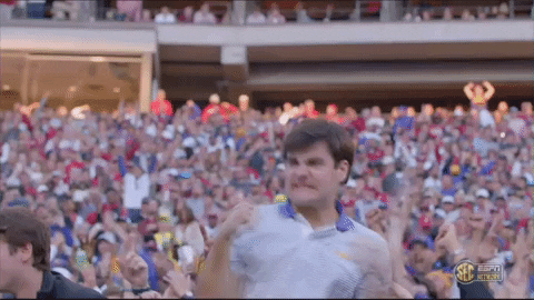 Lsu Football Fans GIF by LSU Tigers