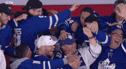 Ice Hockey Sport GIF by NHL