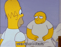 why are you here season 3 GIF