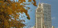chicago illinois GIF