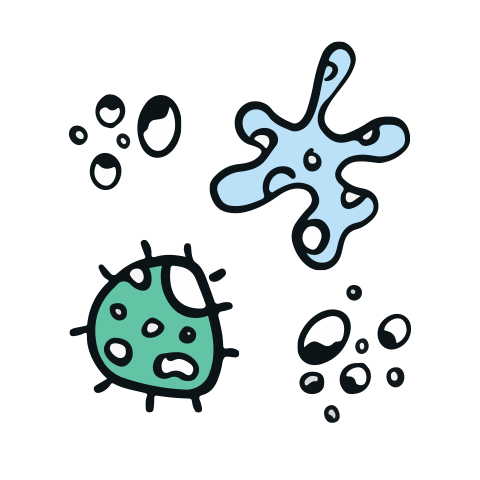 Gut Bacteria Sticker by ColonBroom