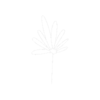 Illustration Flowers Sticker
