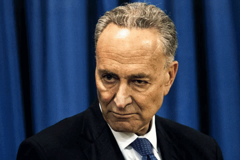 chuck schumer politics GIF