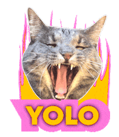 Ida Fladen Yolo Sticker by Splay Norge