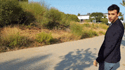 NordicWire americana guillem nordicwire GIF