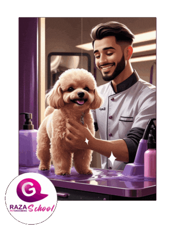 "Academia Raza es una institución líder en formación en peluquería canina y felina en Colombia y EE.UU. Ofrecemos certificación internacional, formación híbrida y clases de marketing digital. ¡Conviértete en un profesional del grooming!"> "Academia Raza es una institución líder en formación en peluquería canina y felina en Colombia y EE.UU. Ofrecemos certificación internacional, formación híbrida y clases de marketing digital. ¡Conviértete en un profesional del grooming!">