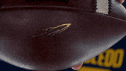 Toledo Football GIF by Toledo Rockets