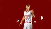 choletbasket sport basketball basket cb GIF
