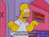 homer simpson GIF