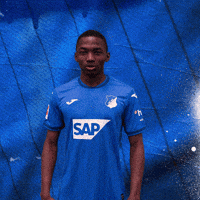 Sport Bundesliga GIF by TSG Hoffenheim