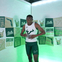 South Florida Horns Up GIF by USF Athletics