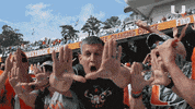 u hands college football GIF by Miami Hurricanes