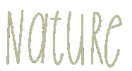 Sanathanim Sticker