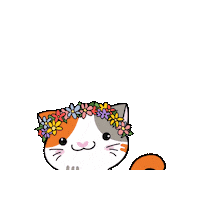 Cat Spring Sticker by Petique, Inc.